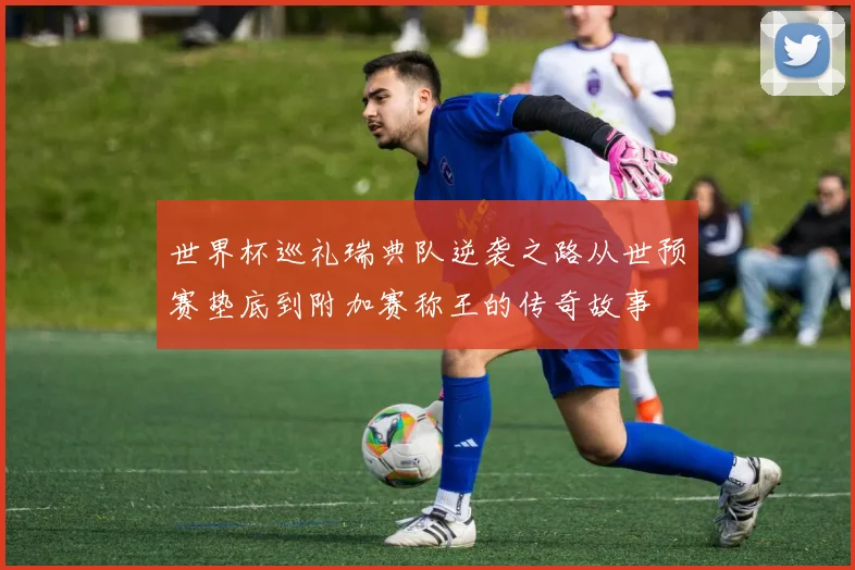 世界杯巡礼瑞典队逆袭之路从世预赛垫底到附加赛称王的传奇故事